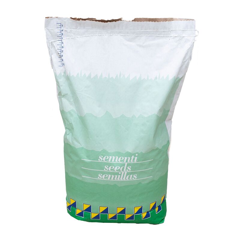 Seminte Special COASA SI PASUNE - 10 kg