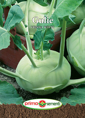 Seminte de gulie Vienna White