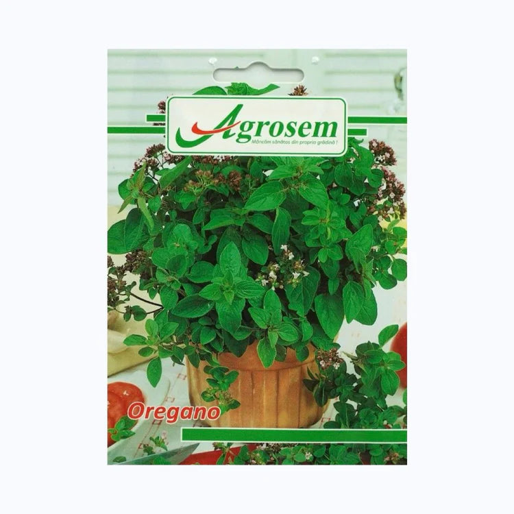 Seminte Oregano