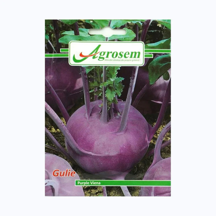 Seminte Gulie PURPLE VIENA