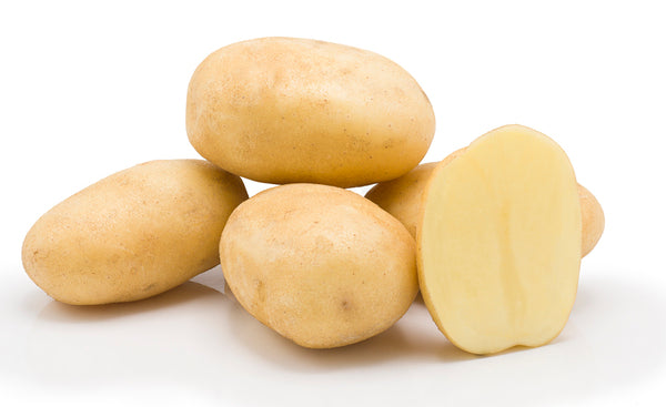 SAMANTA CARTOFI BRIANNA