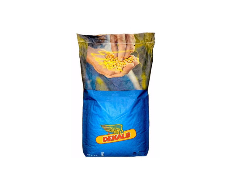 Samanta Porumb DEKALB DKC 4433, FAO 350-390, Semi-Timpuriu - Sac 80.000 boabe