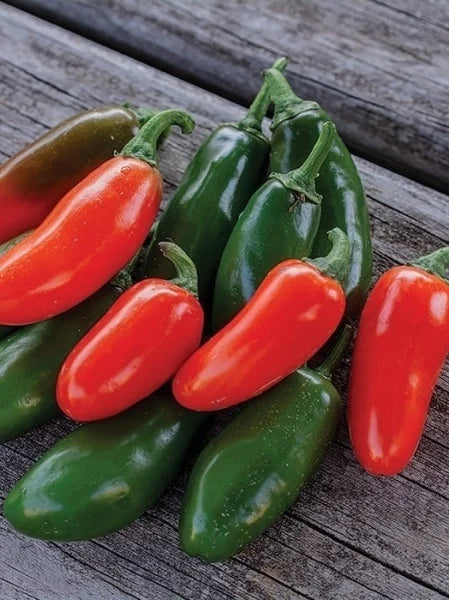 Jalapeno ardei iute originar din Mexic America Latina, Opal