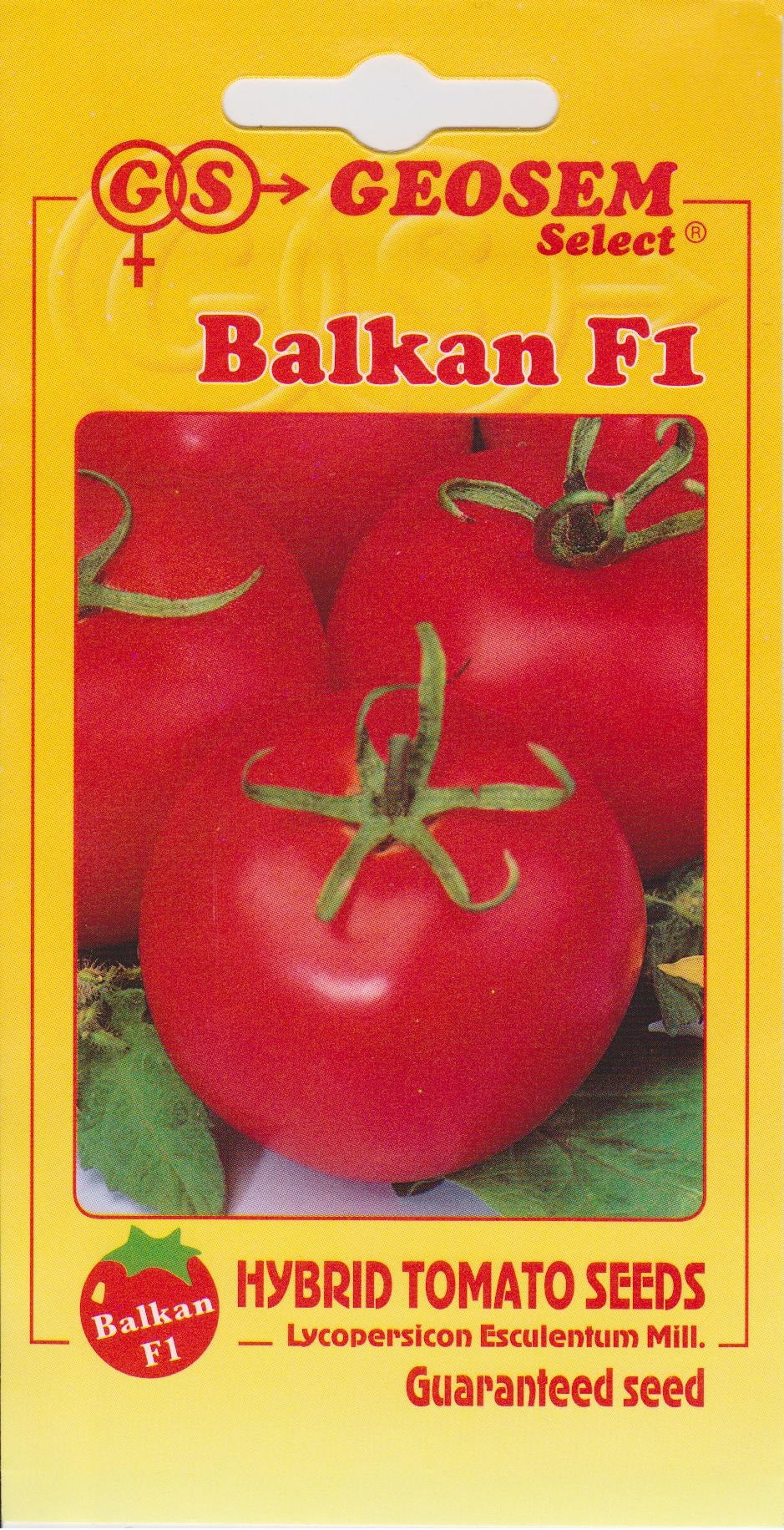 Tomate Balkan F1