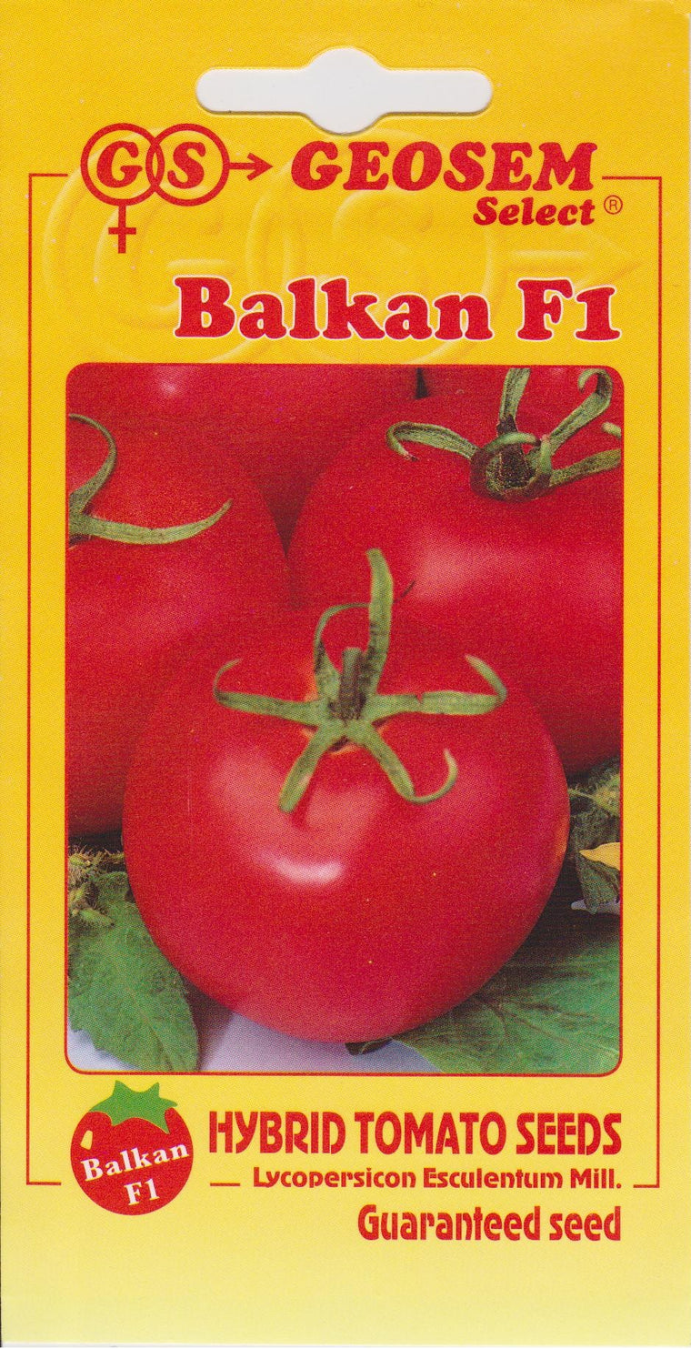 Tomate Balkan F1