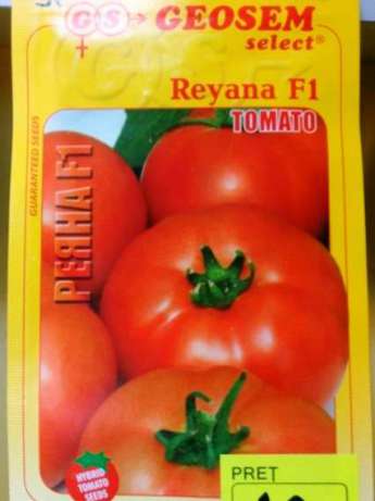 Tomate Reyana F1