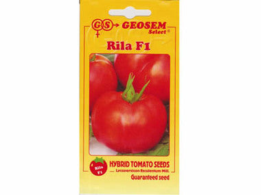 Tomate Rila F1