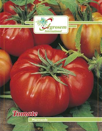 Tomate Marmande