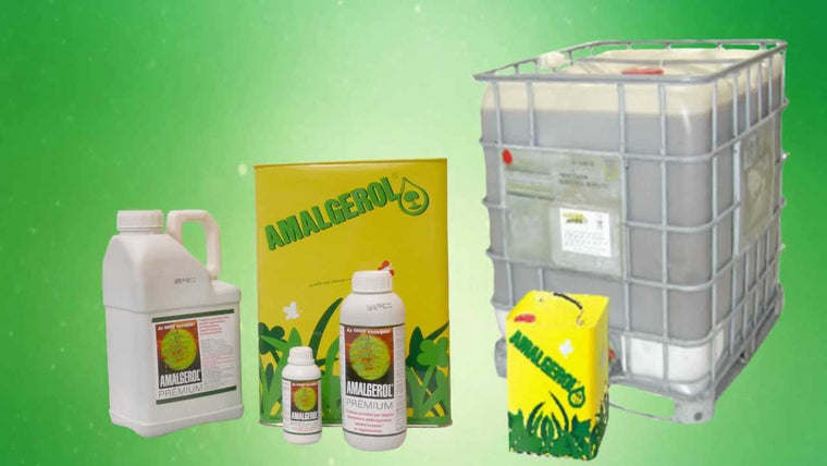 AMALGEROL 1L