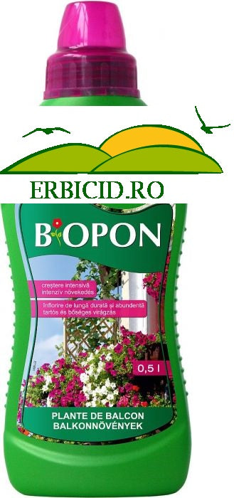 Ingrasamant  plante de balcon