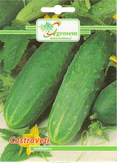 Castraveti Delikatess