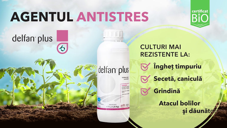 Delfan Plus