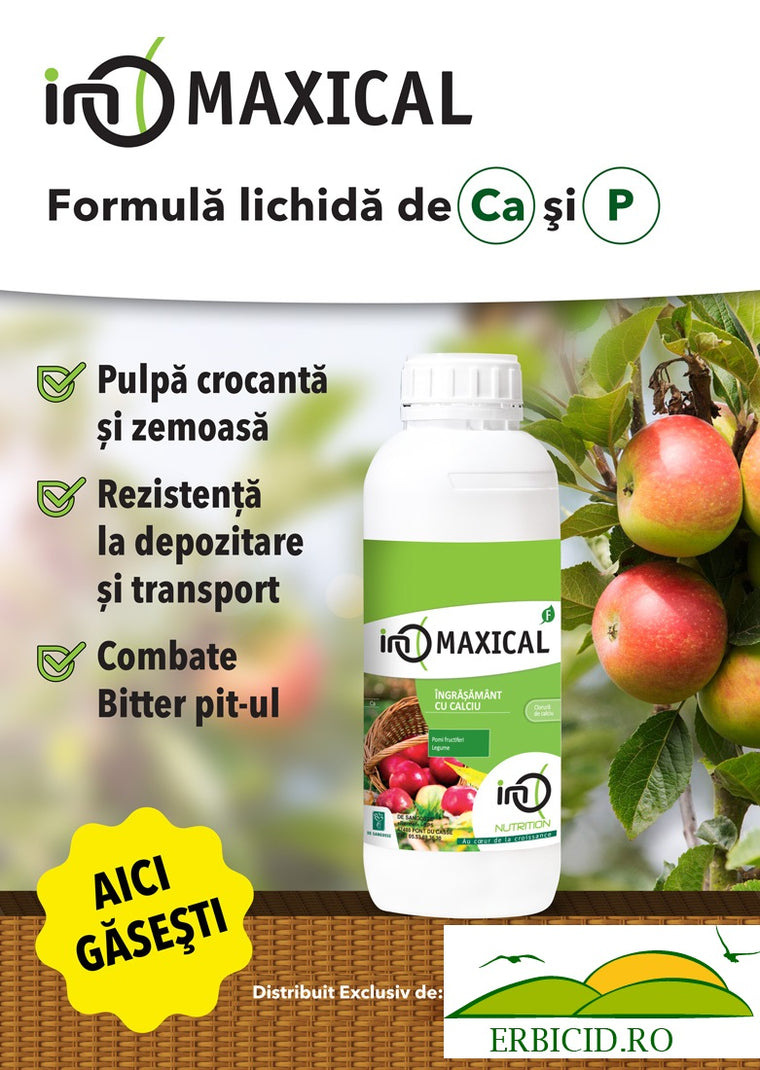 Maxical – Ingrasamant Foliar calciu