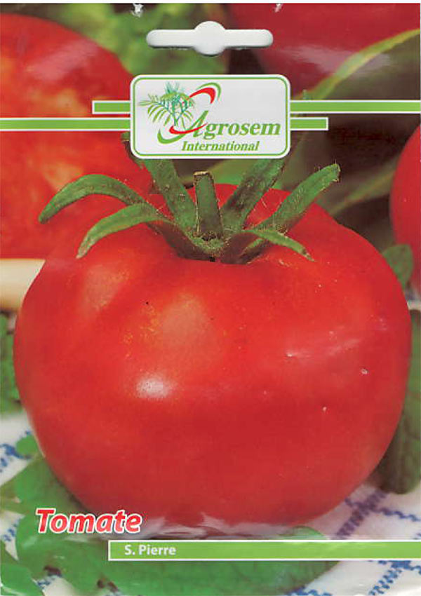 Tomate S. Pierre