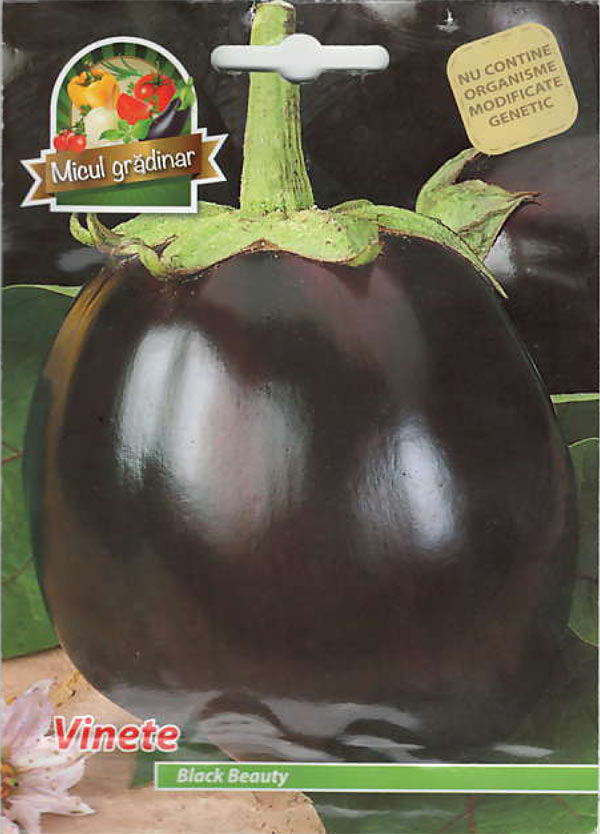 Vinete Black Beauty