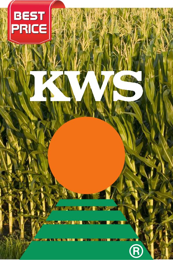 SAMANTA PORUMB KWS 1394