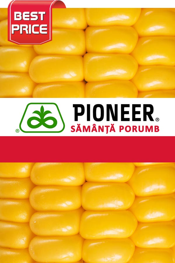 SAMANTA PORUMB PIONEER PR32F73