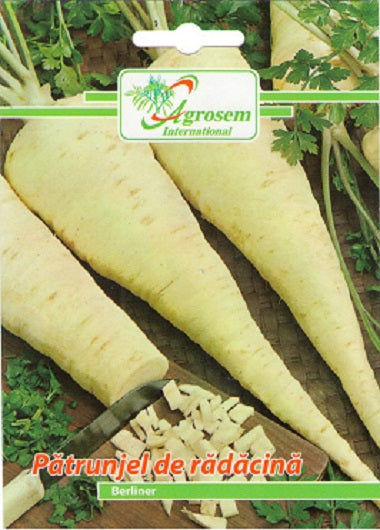 Patrunjel Radacina Berliner