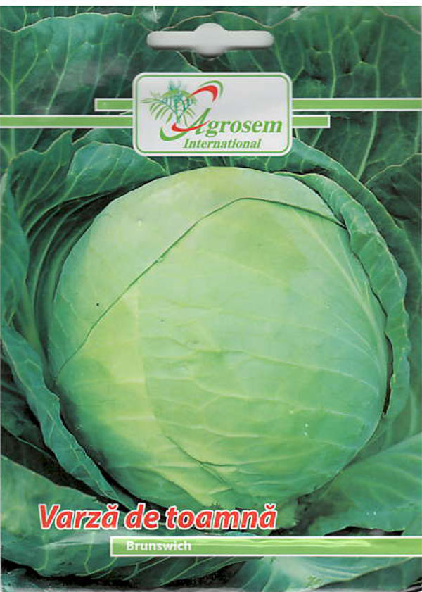 Varza Toamna Brunswich