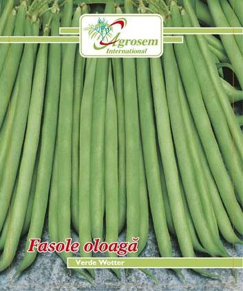 Fasole Oloaga Wotter