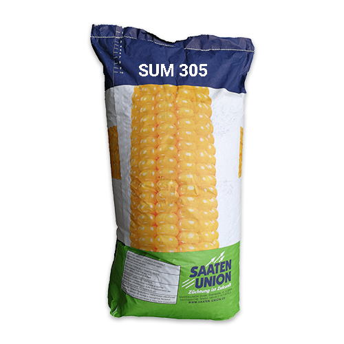 SUM 305 FAO 370 Seminte Porumb Saaten Union