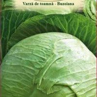 Seminte de varza Buzoiana